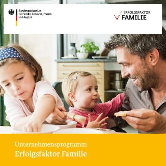 Titelbild der Publikation "Unternehmensprogramm Erfolgsfaktor Familie"