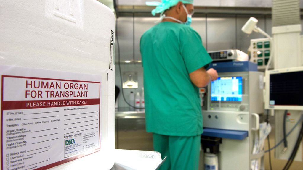 Styropor-Behälter mit Beschriftung: lebende Organe, im Hintergrund ein Arzt