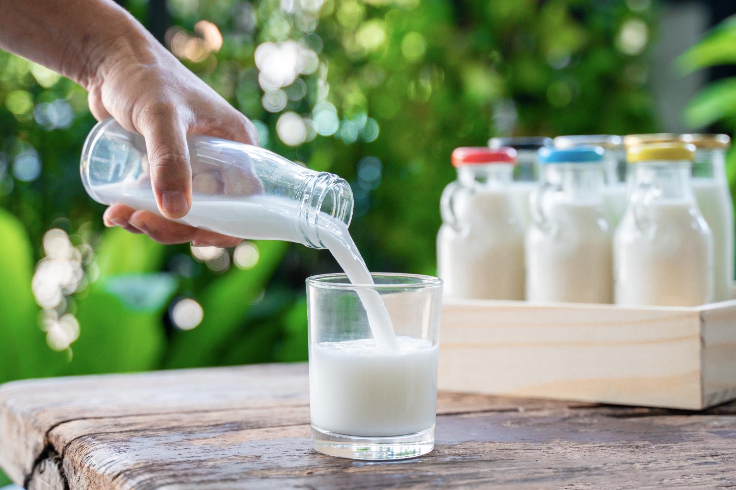 Milch wird aus einer Glasflasche in ein Glas eingeschänkt