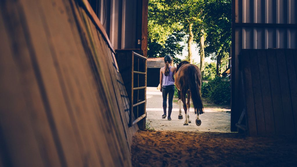 Mädchen führt ein Pferd aus dem Stall.