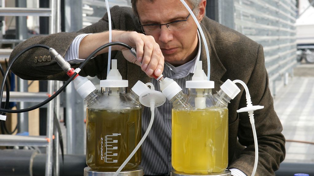 Professor Laurenz Thomsen von der Jacobs University in Bremen stellt im OceanLab den Versuchsaufbau zu einem Algen-Bioreaktor vor.