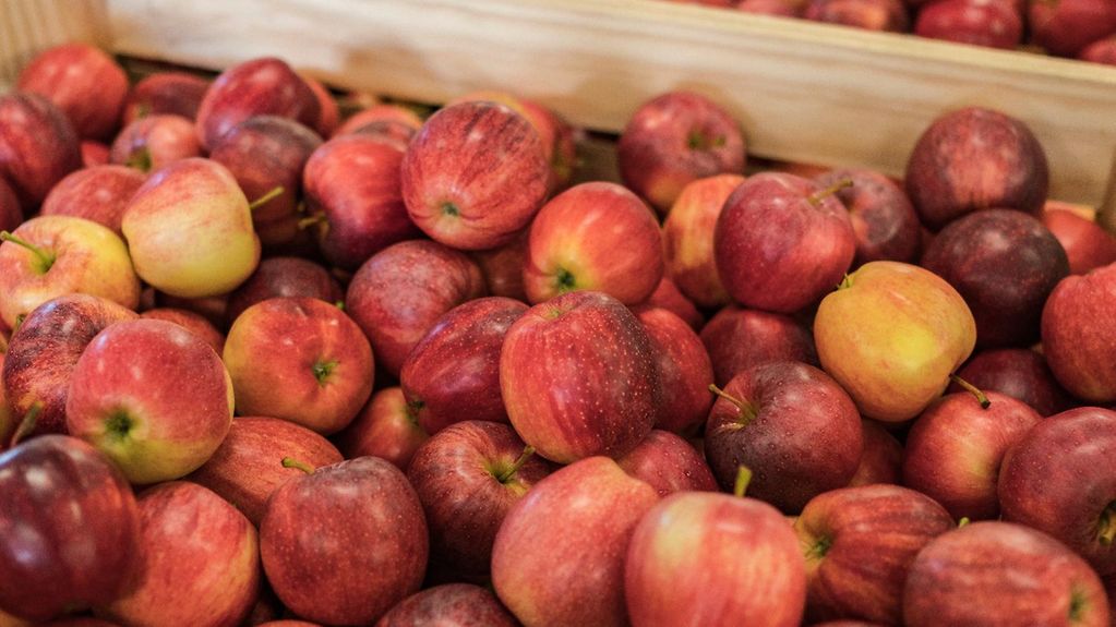 In einer Obstkiste aus hellem Holz liegen viele rote Äpfel.