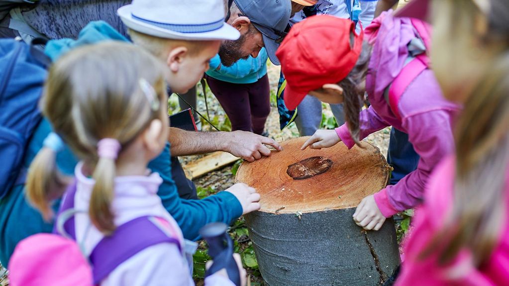 Eine Gruppe von Grundschulkindern umringt einen Baumstumpf. Eines der Kinder deutet mit dem Finger auf die Baumringe. Ein erwachsener Betreuer deutet ebenfalls dorthin.