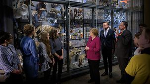 Bundeskanzlerin Angela Merkel beim Besuch im Naturkundemuseum vor einer Vitrine.