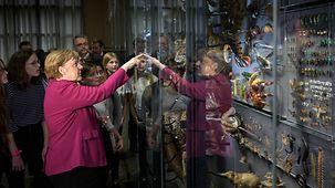 Bundeskanzlerin Angela Merkel beim Besuch im Naturkundemuseum.