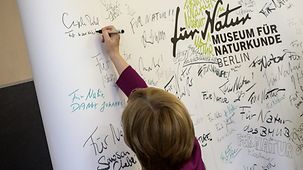 Bundeskanzlerin Angela Merkel unterschreibt nach dem Besuch im Naturkundemuseum.