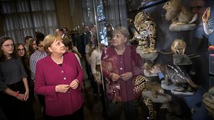 Bundeskanzlerin Angela Merkel beim Besuch im Naturkundemusem
