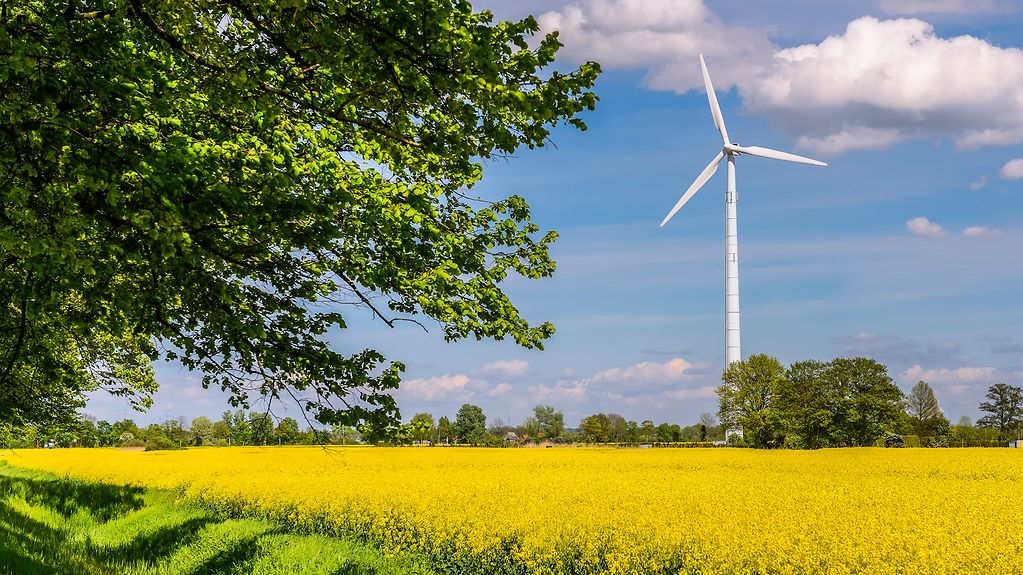 In einer idyllischen Naturlandschaft mit einem strahlend gelben Rapsfeld ist eim Hintergrund ein Windrad zu sehen.