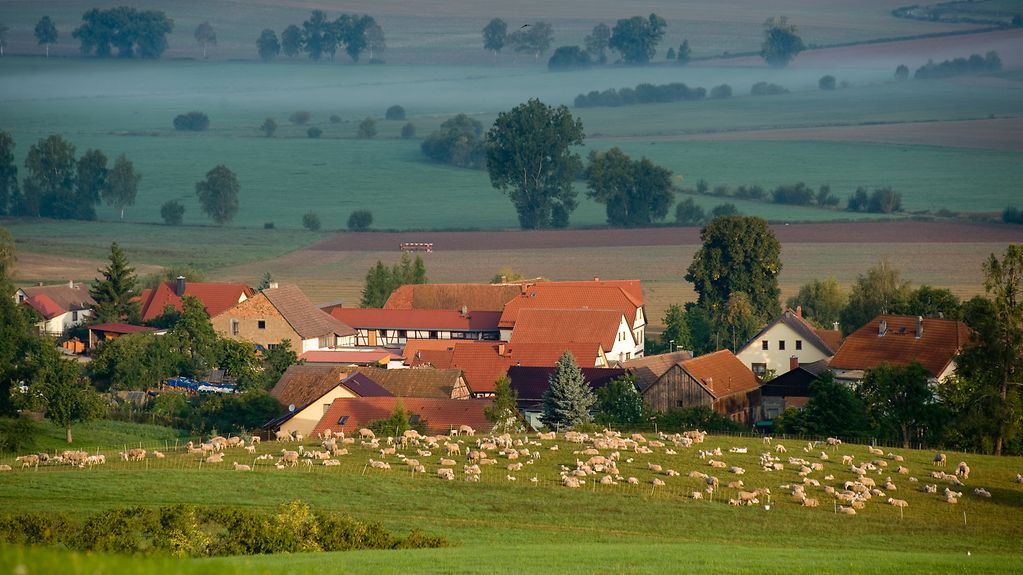 Kleines Dorf von Wiesen und Feldern umgeben.