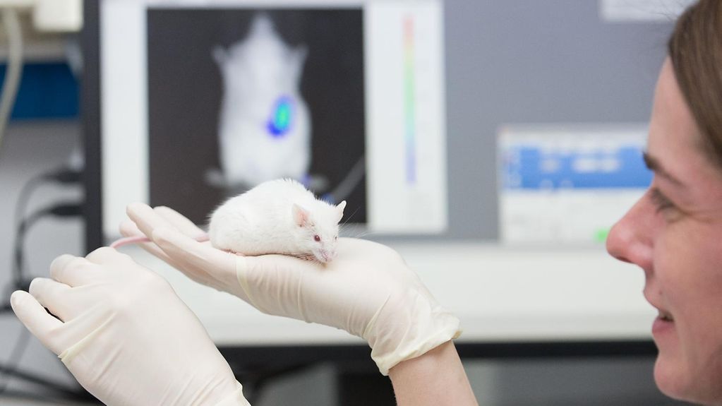 Eine Forscherin hält eine weiße Maus auf der Hand. Im Hinetrgrund ist diese auf einem Bildschirm abgebildet.