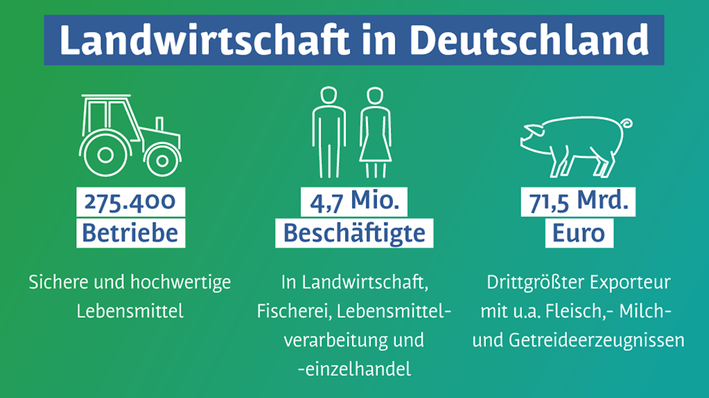 Die Grafik zeigt unter der Überschrift "Landwirtschaft in Deutschland" Piktogramme von einem Trecker, zwei Personen und einem Schwein, darunter die Angaben 275.400 Betriebe, 4,7 Mio. Beschäftigte und 71,5 Mrd. Euro Exportvolumen.