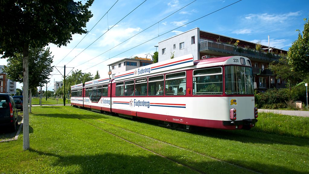 Eine Straßenbahn fährt über ein begrüntes Gleisbett in Freiburg.