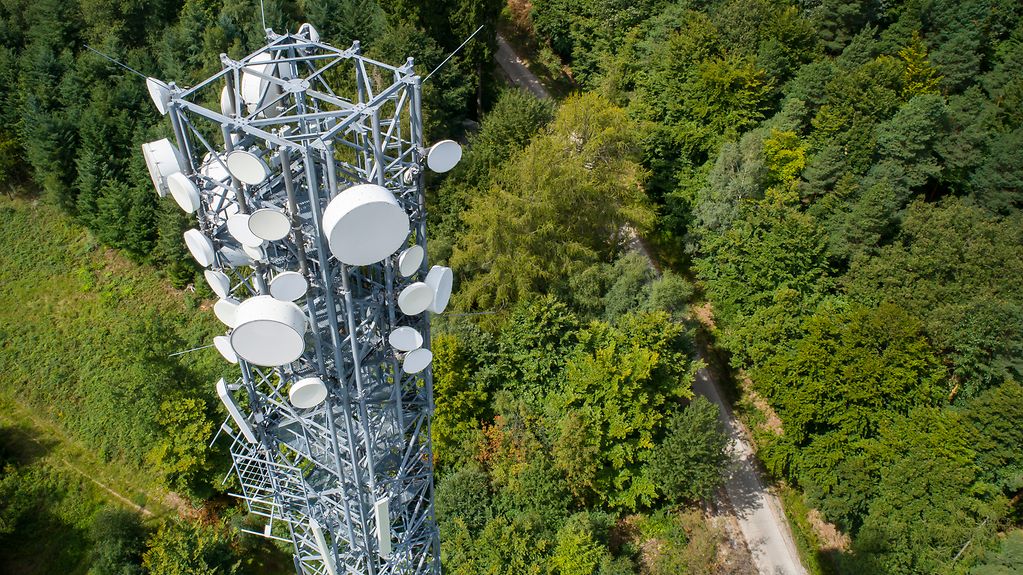 A mobile phone mast in the middle of a forest