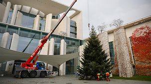 Aufstellen eines Tannenbaum vor dem Bundeskanzleramt.