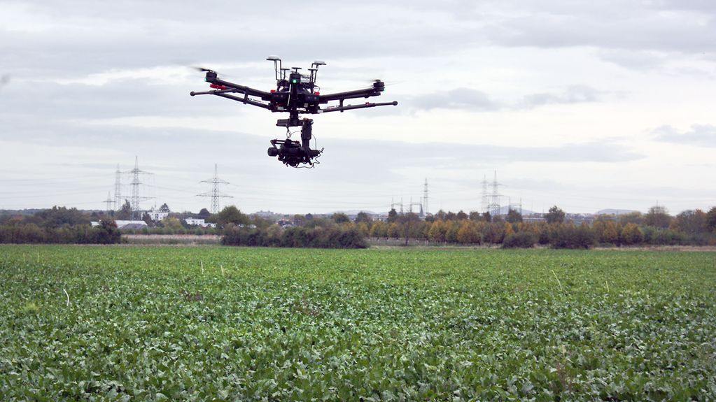 Drohne des Projekts CropWatch fliegt über ein Feld