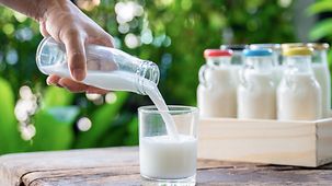 Milch wird aus einer Glasflasche in ein Glas eingeschänkt