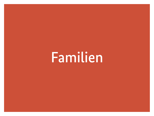 Text auf orangenem Hintergrund: Informationen für Familien
