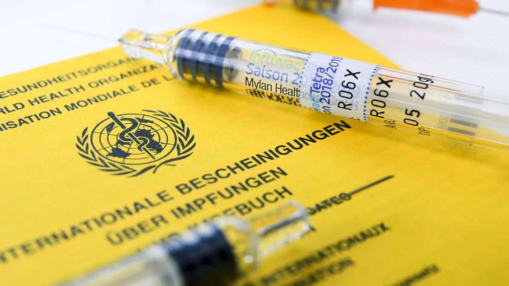 Impfspritzen liegen auf einem Internationalen Impfausweis.