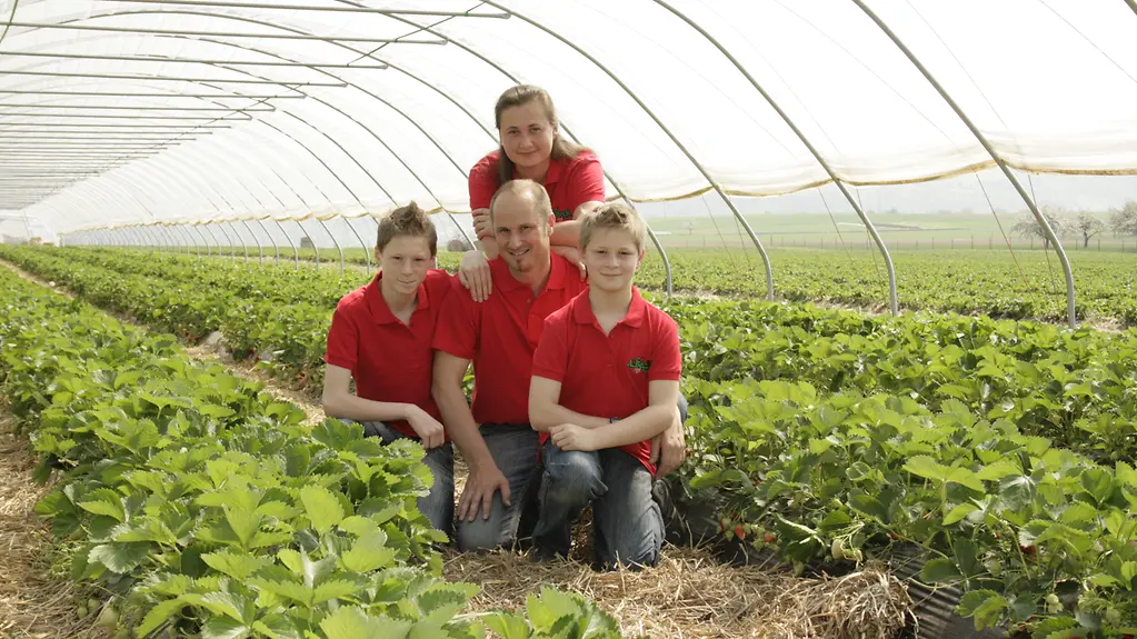 Landwirt Beck mit seiner Familie auf einem seiner Erdbeerfelder.