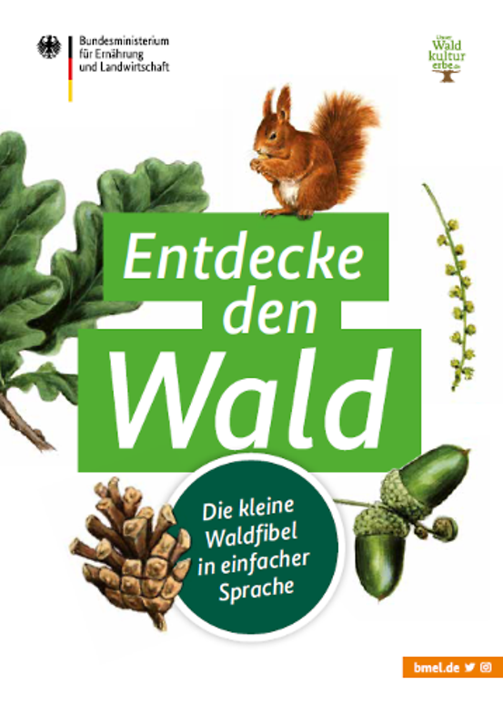 Titelbild der Publikation "Entdecke den Wald - Die kleine Waldfibel in einfacher Sprache"
