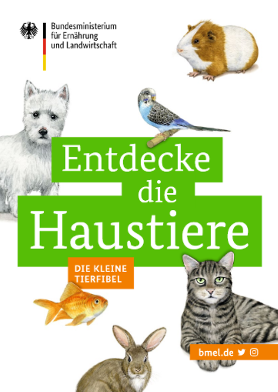 Titelbild der Publikation "Entdecke die Haustiere - Die kleine Tierfibel"