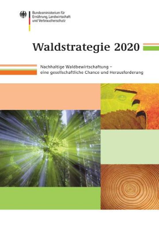 Titelbild der Publikation "Waldstrategie 2020"