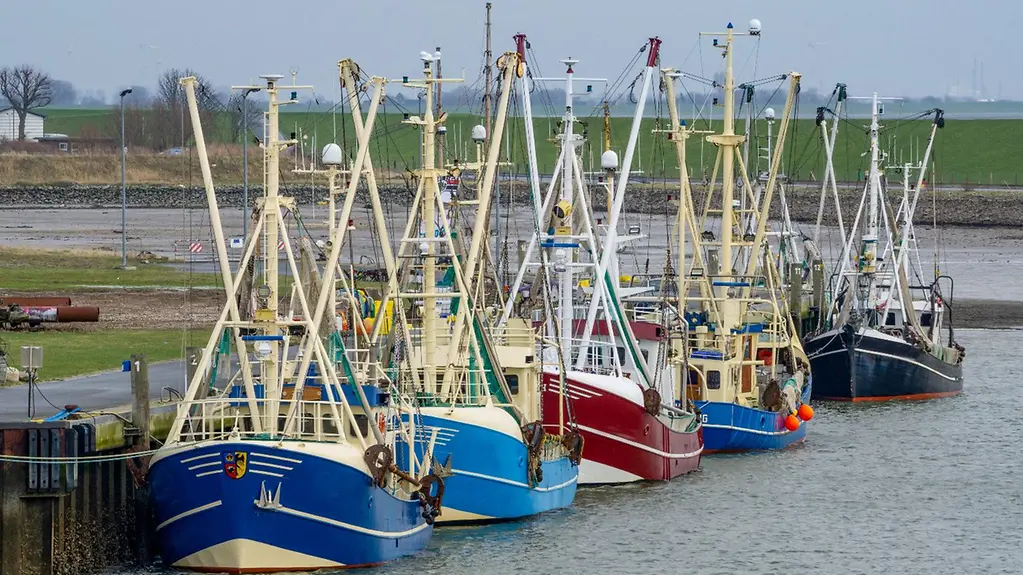 Fischerboote im Hafen