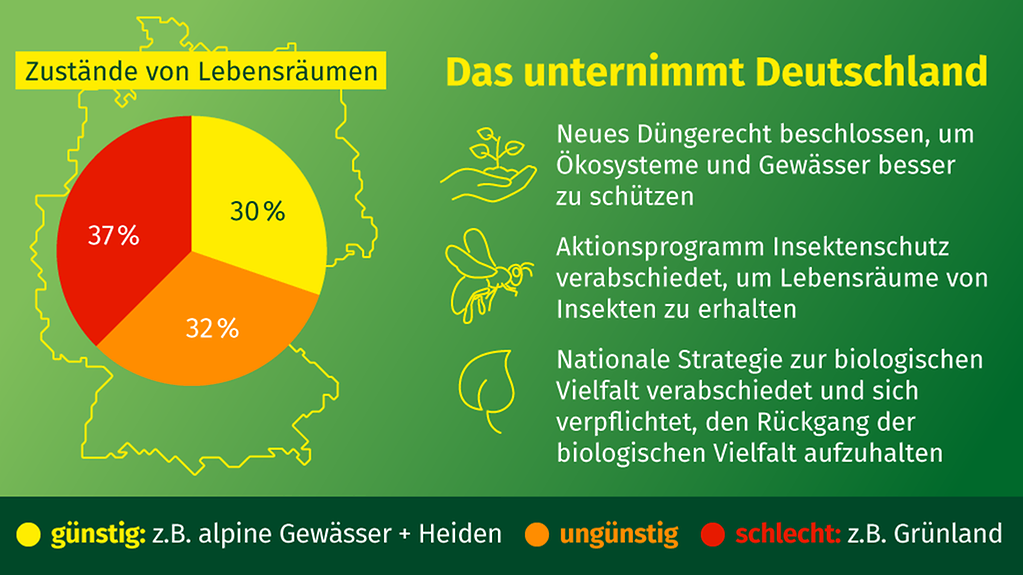 Die Grafik zeigt die Zustände von Lebensräumen in Deutschland. 30 Prozent sind in einem günstigen Zustand, 32 Prozent in einem ungünstigen und 37 Prozent in einem schlechten Zustand.