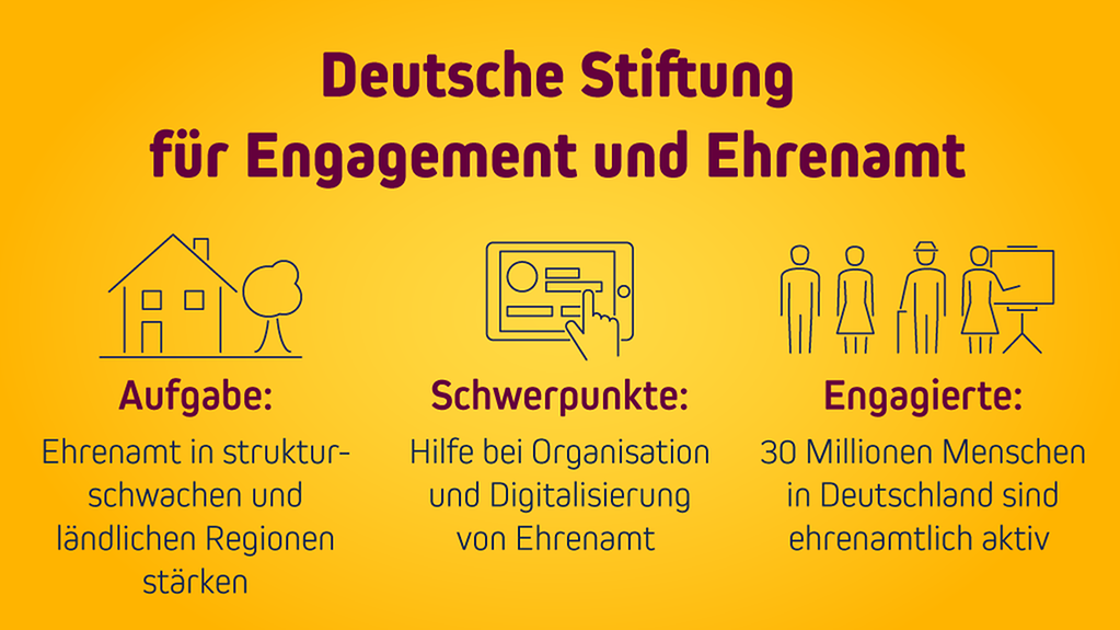 Die Grafik trägt den Titel "Deutsche Stiftung für Engagement und Ehrenamt (Weitere Beschreibung unterhalb des Bildes ausklappbar als "ausführliche Beschreibung")