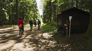 Fahrradfahrer fahren durch den Wald