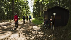 Fahrradfahrer fahren durch den Wald
