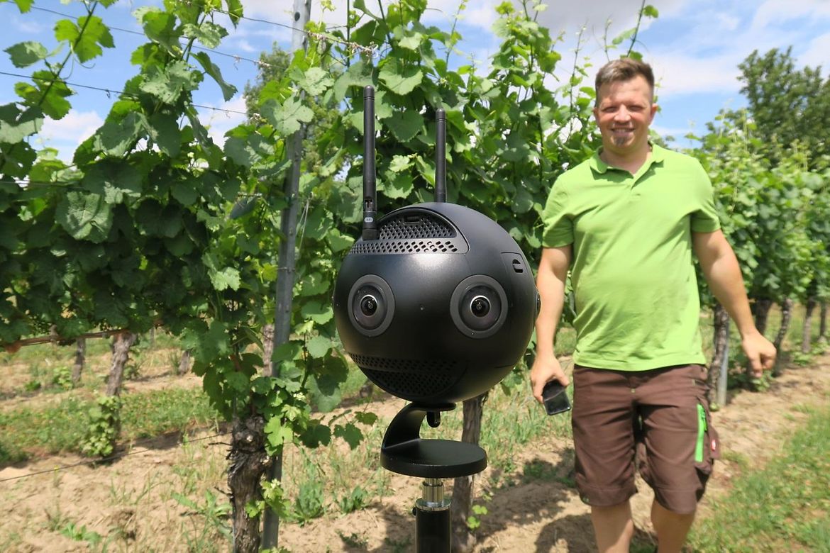 Eine 3-D-Kamera in einem Weinberg bei Meißen (Sachsen).