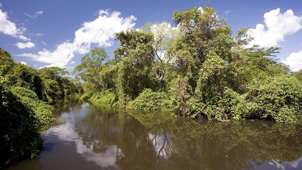 Flusslauf im brasilianischen Pantanal, dem größten Feuchtgebiet der Erde