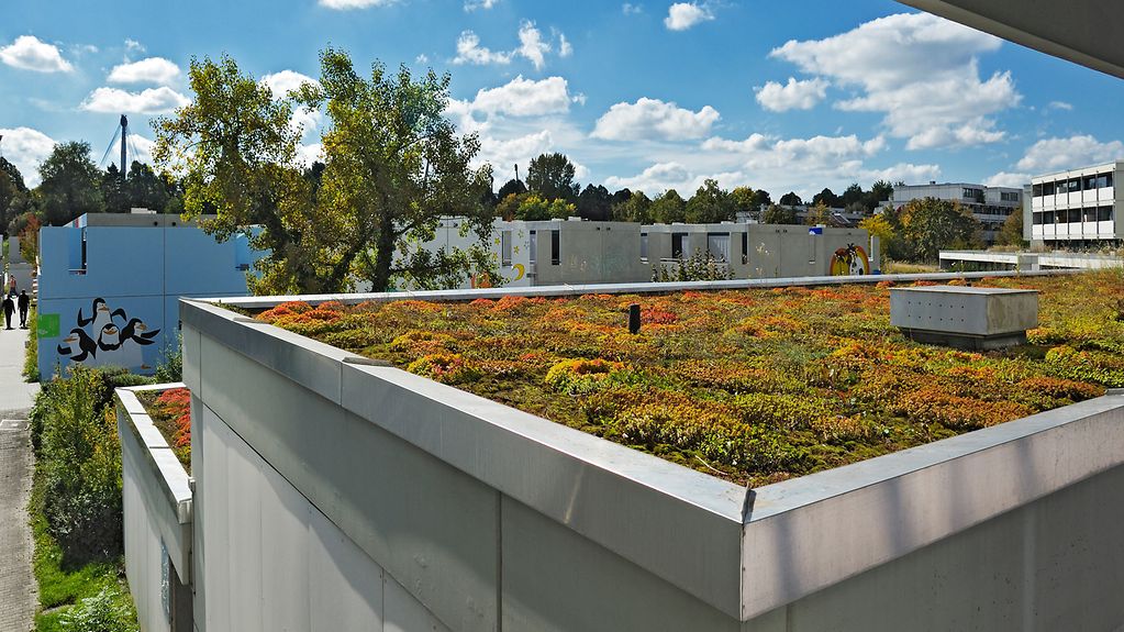 The photo shows a green roof.