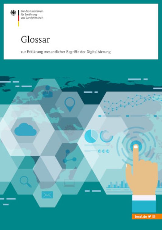 Titelbild der Publikation "Glossar zur Erklärung wesentlicher Begriffe der Digitalisierung"