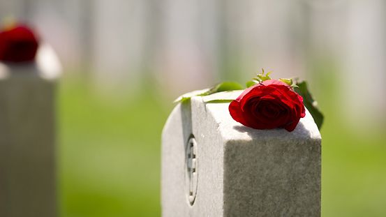 Une rose posée sur une tombe