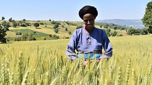 An Ethiopian woman farmer in a field