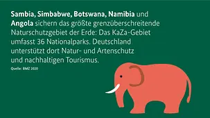 Die Grafik zeigt einen Elefanten. 
