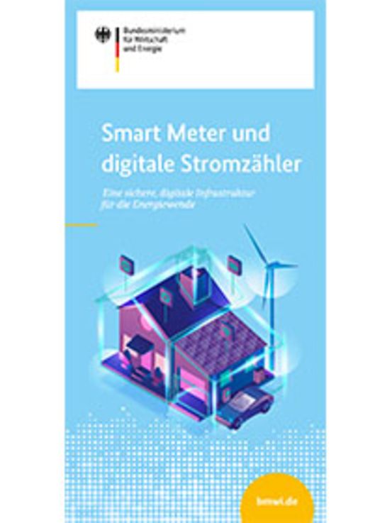 Titelbild der Publikation "Smart Meter und digitale Stromzähler"