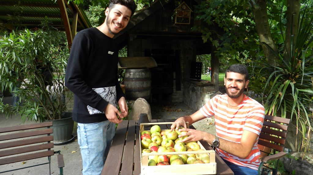 Teilnehmer des Community-Tags, organisiert vom Verein 'Über den Tellerrand e.V.', bei der Apfelernte in Potsdam. 26. September 2015