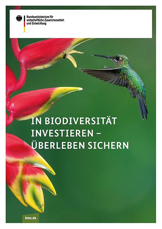 Titelbild der Publikation "In Biodiversität investieren - Überleben sichern"