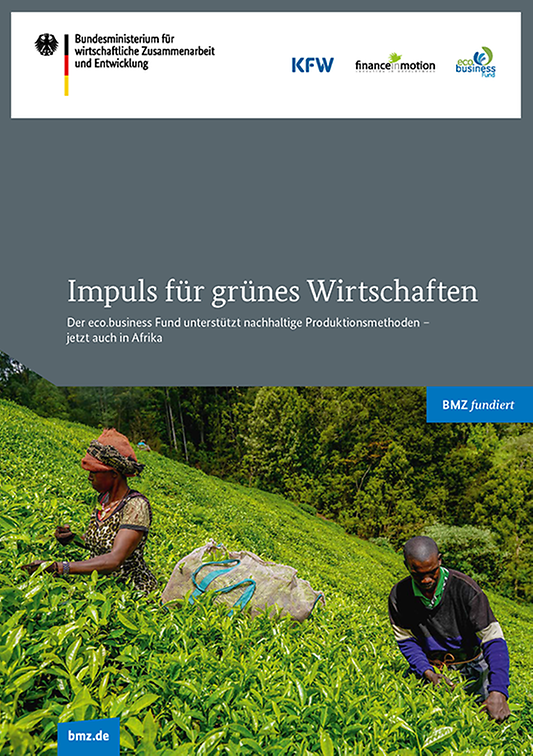 Titelbild der Publikation "Impuls für grünes Wirtschaften"