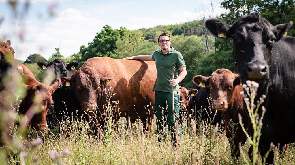 Jungbauer Felix Hoffarth bei seinen Rindern auf der Weide