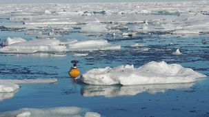 Ein Messgerät schwimmt im Wasser in der Arktis.