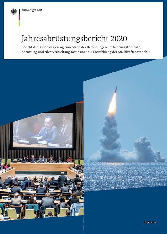 Titelbild der Publikation "Jahresabrüstungsbericht 2020"