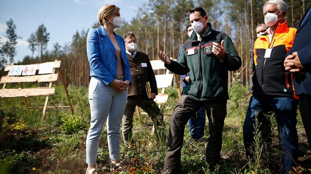 Foto zeigt Ministerin Klöckner in einem Wald. 