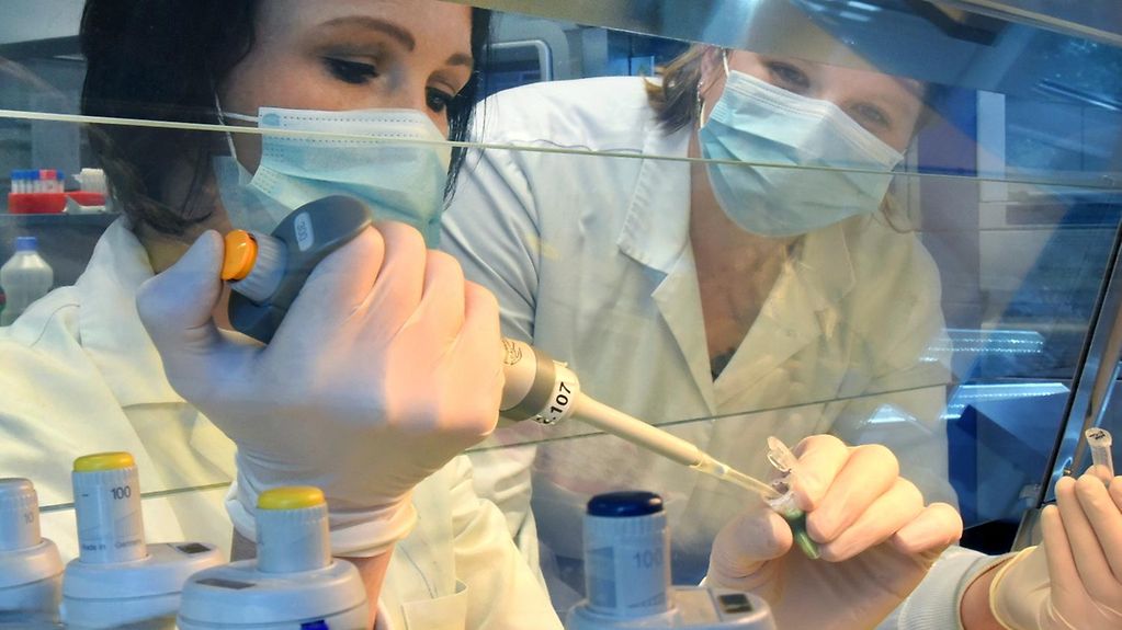 In einem Labor arbeiten in einer Sicherheitswerkbank zwei Mitarbeiterinnen an Nachweisen für den Corona-Virus.
