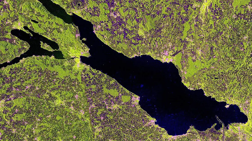 Eine Sentinel-1A-Satellitenaufnahme zeigt den Bodensee und seine Sedimente.