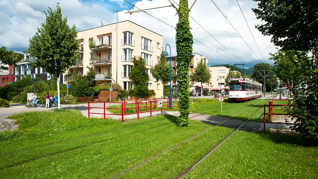 Grüne Gleise: Straßenbahntrasse mit Klimaeffekt
