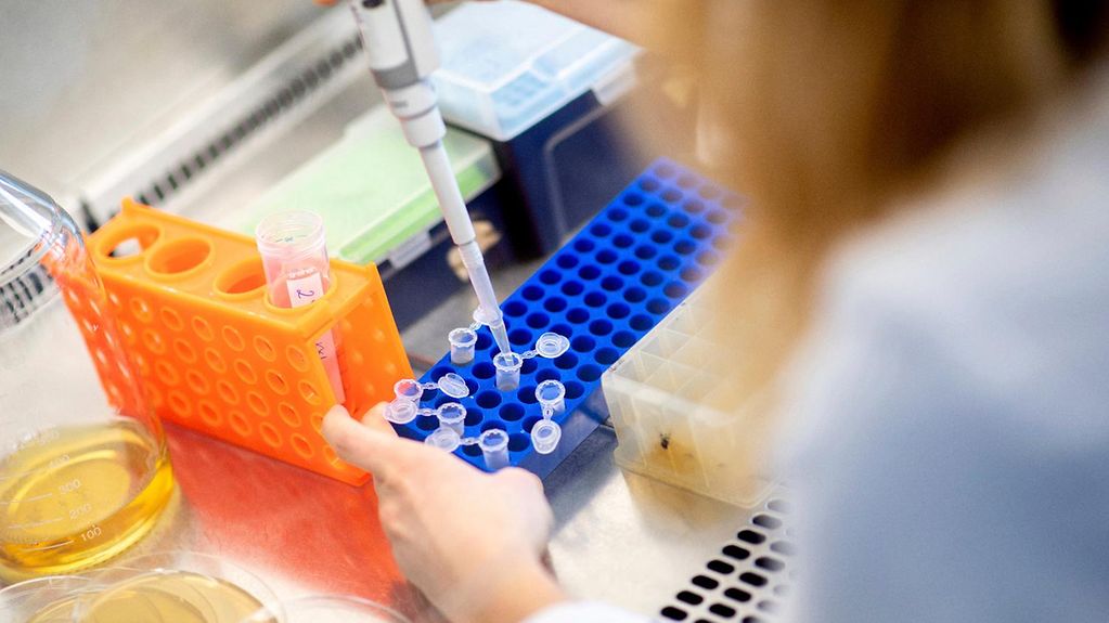 Eine Wissenschaftlerin überprüft in einem sterilen Bereich selektierte Antikörper mit einer Pipette.